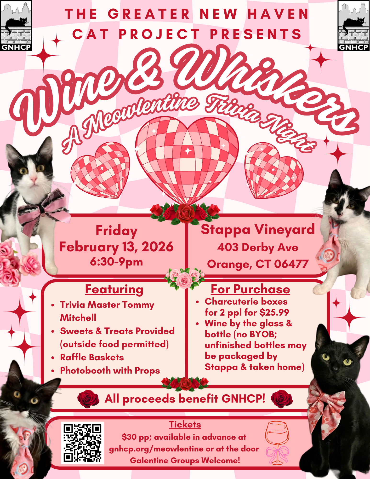 Wine &amp; Whiskers: A Meowlentine Trivia Night