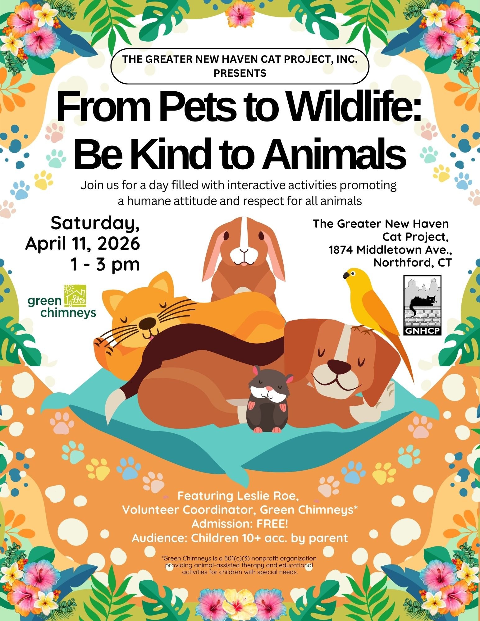 From Pets to Wildlife: Be Kind to Animals