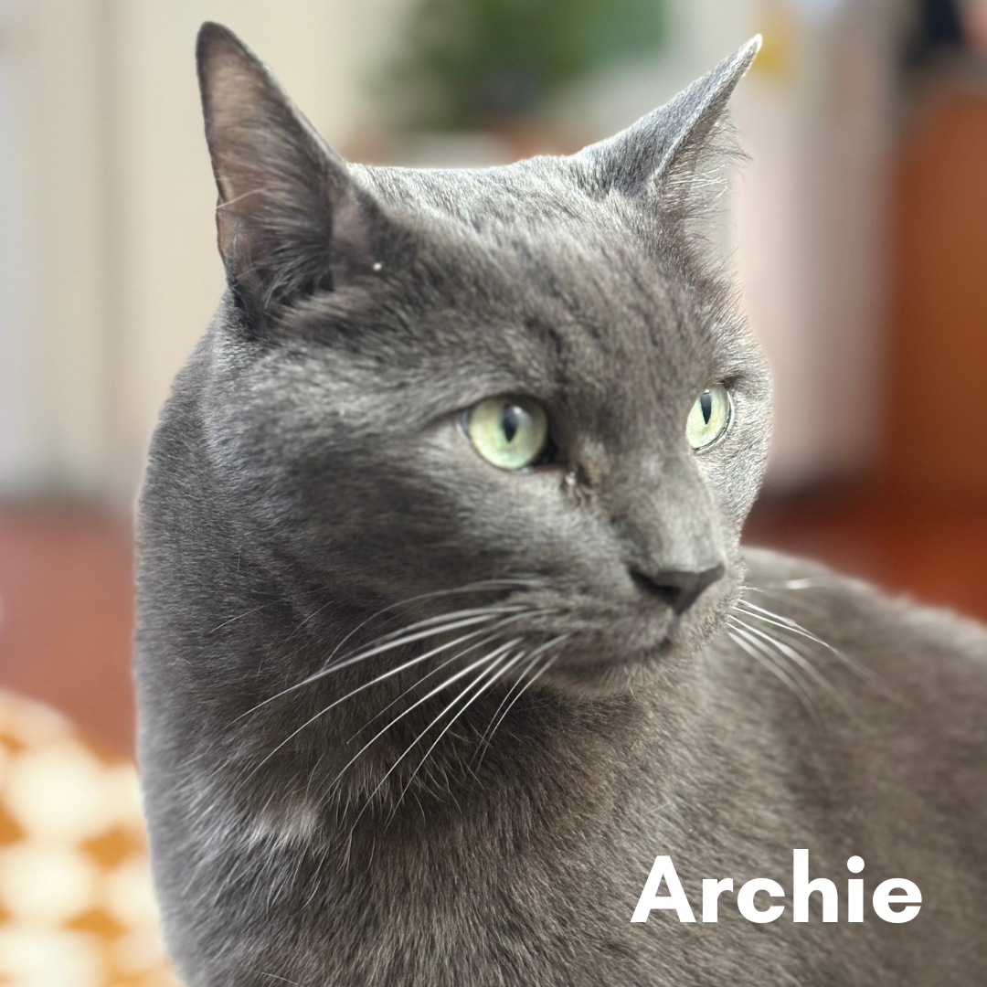 Archie