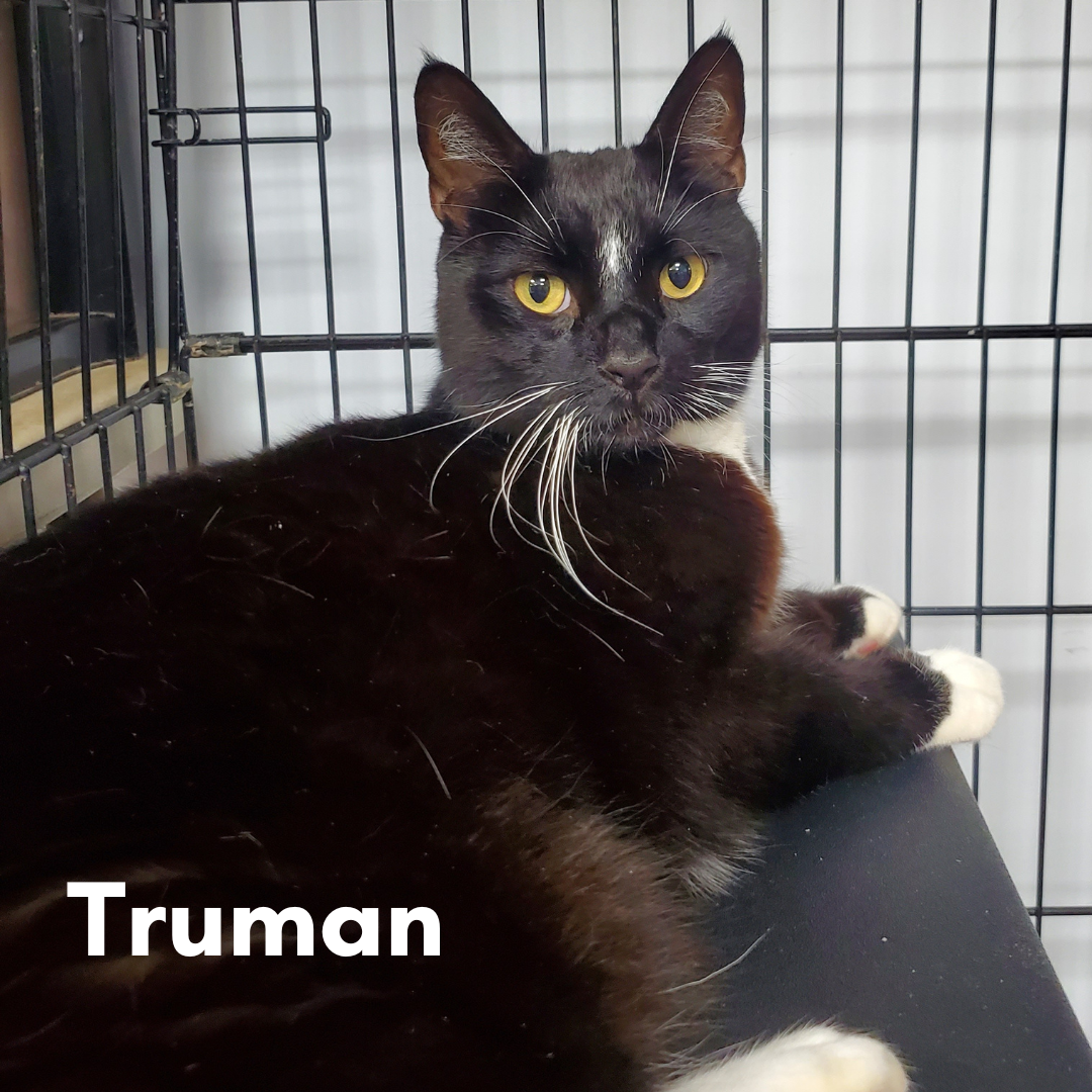 Truman