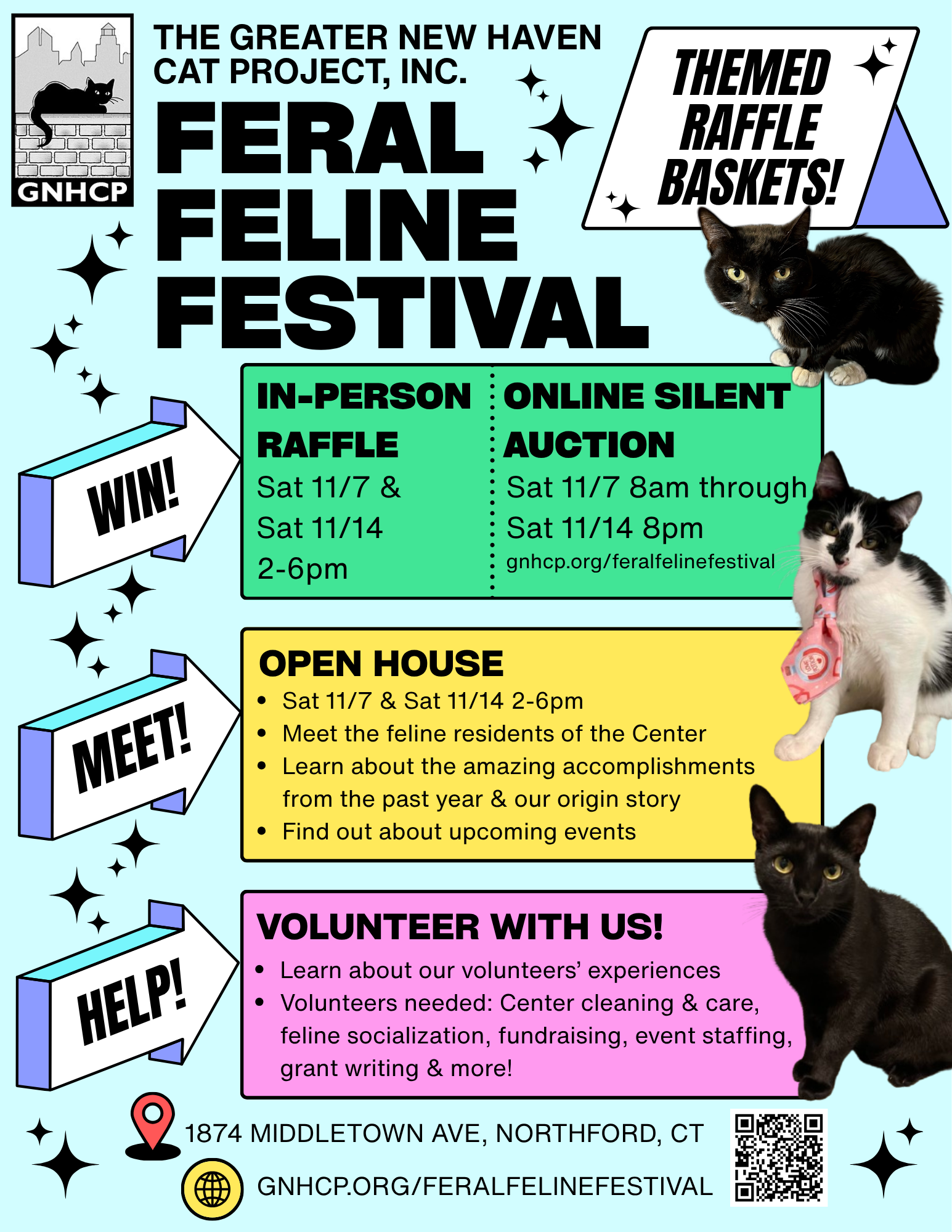 Feral Feline Festival