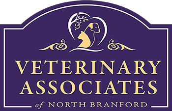 vet-assocites-north-branford-350.webp