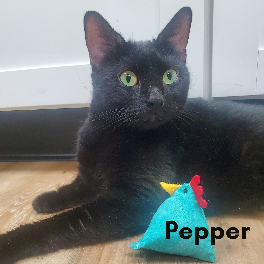 Pepper
