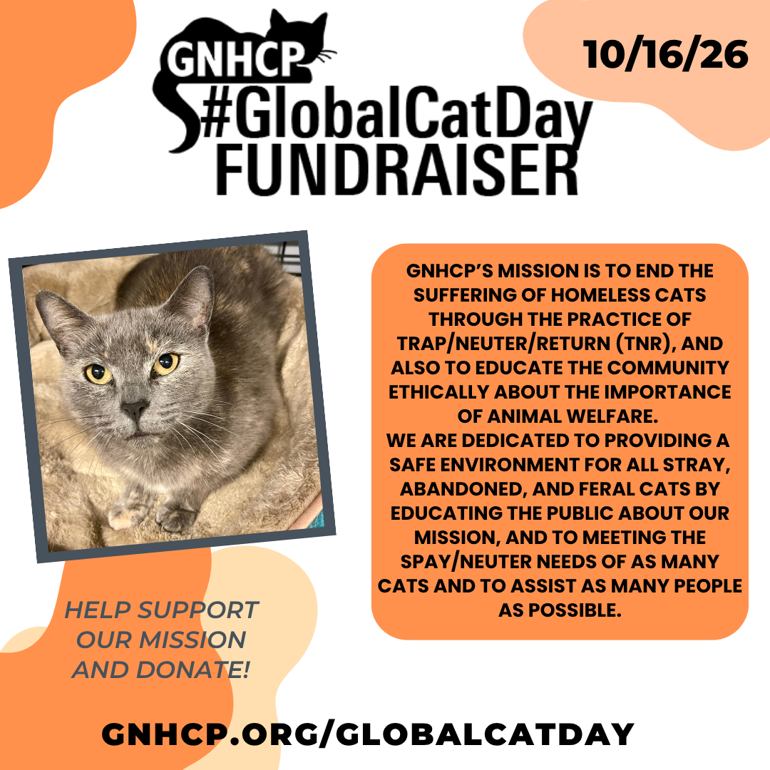 Global Cat Day Fundraiser