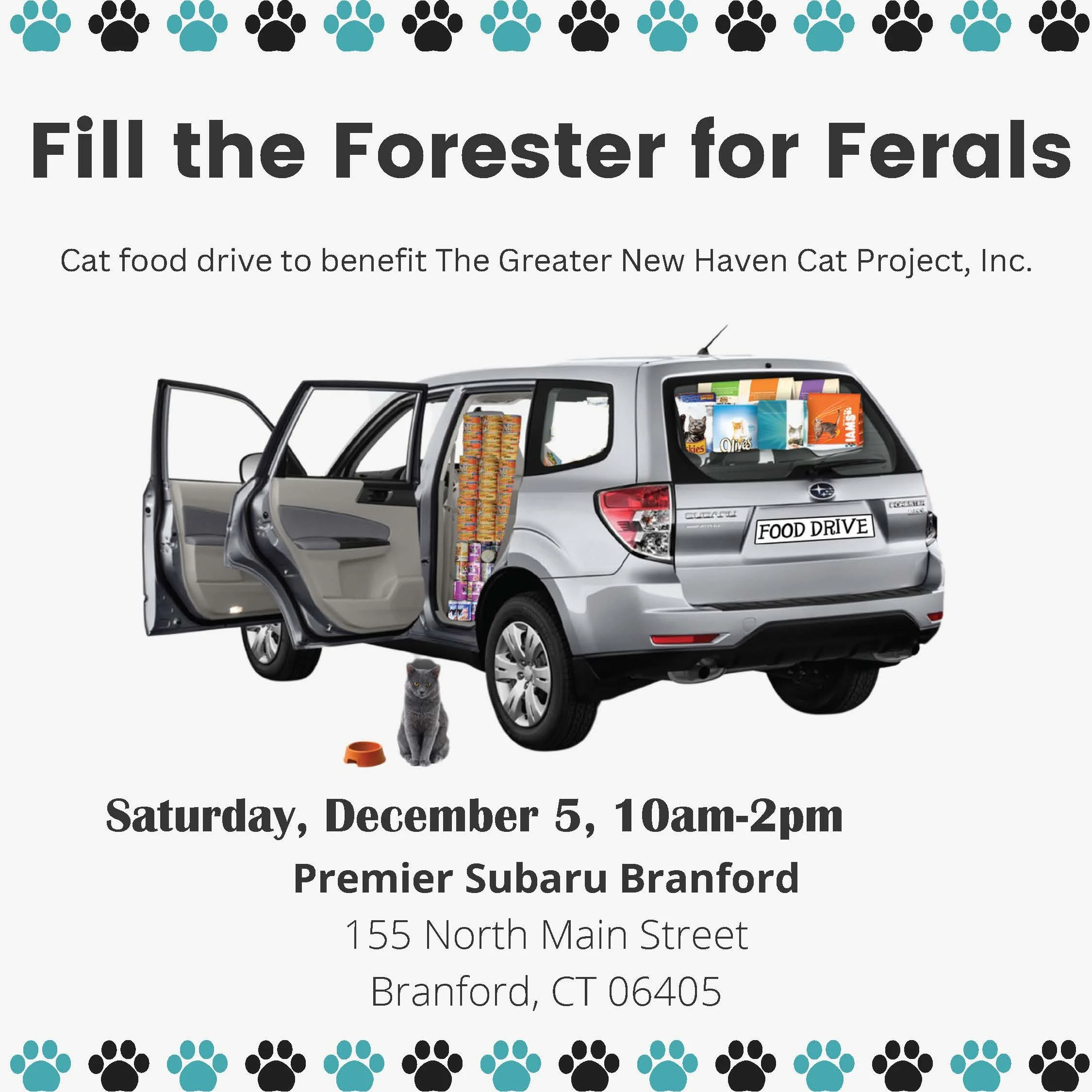 Fill the Forester