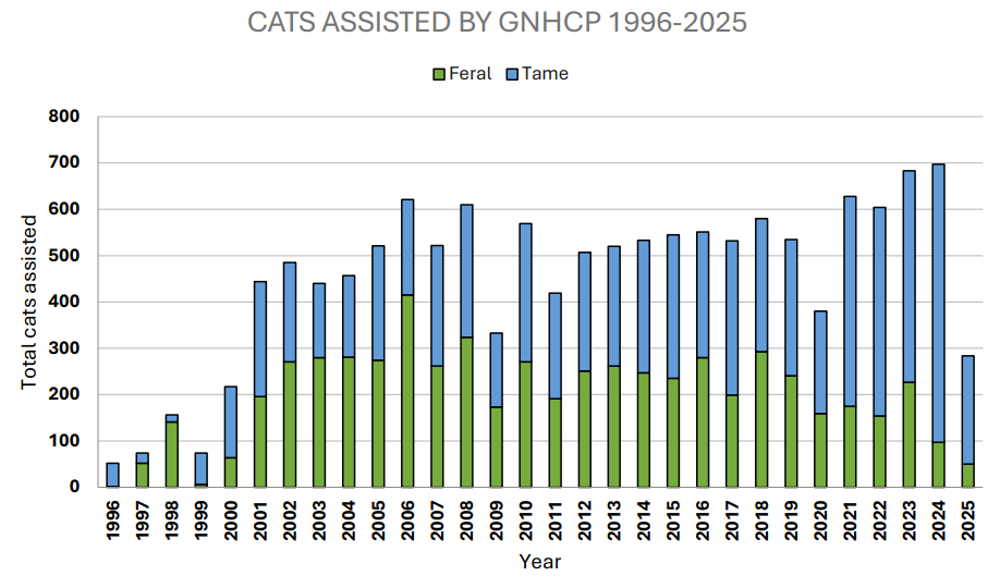 Stacked bar chart showing the number of cats assisted by the Greater New Haven Cat Project from 1996 to 2025. The graph distinguishes between feral and tame cats, showing a general upward trend in total rescues, peaking at nearly 700 cats in 2024.