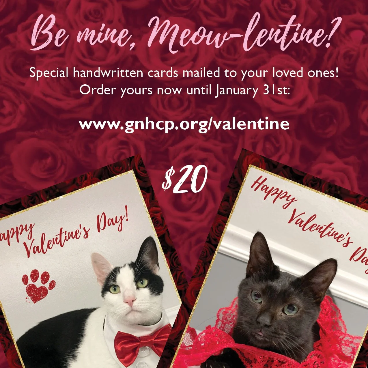 Valentine's Day Cards