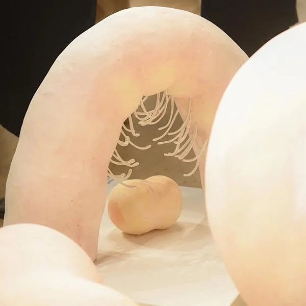 Shroud. paper clay, acrylic, rope. 30"x30"x60".2024  (installation photo by Molly Beaton)