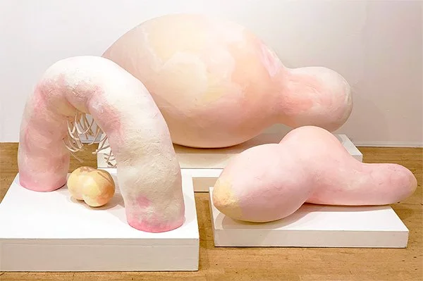 Veronica Classen_Shroud_Paperclay, Acrylic paint_approx.3'x5'x5'.April 2024_.jpg