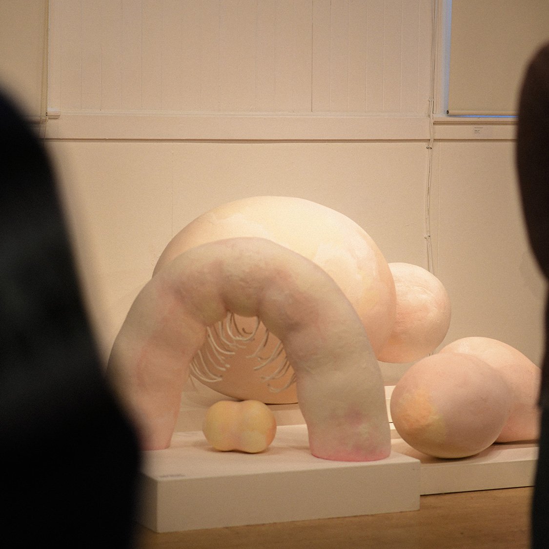 Shroud   (installation photo by Molly Beaton)