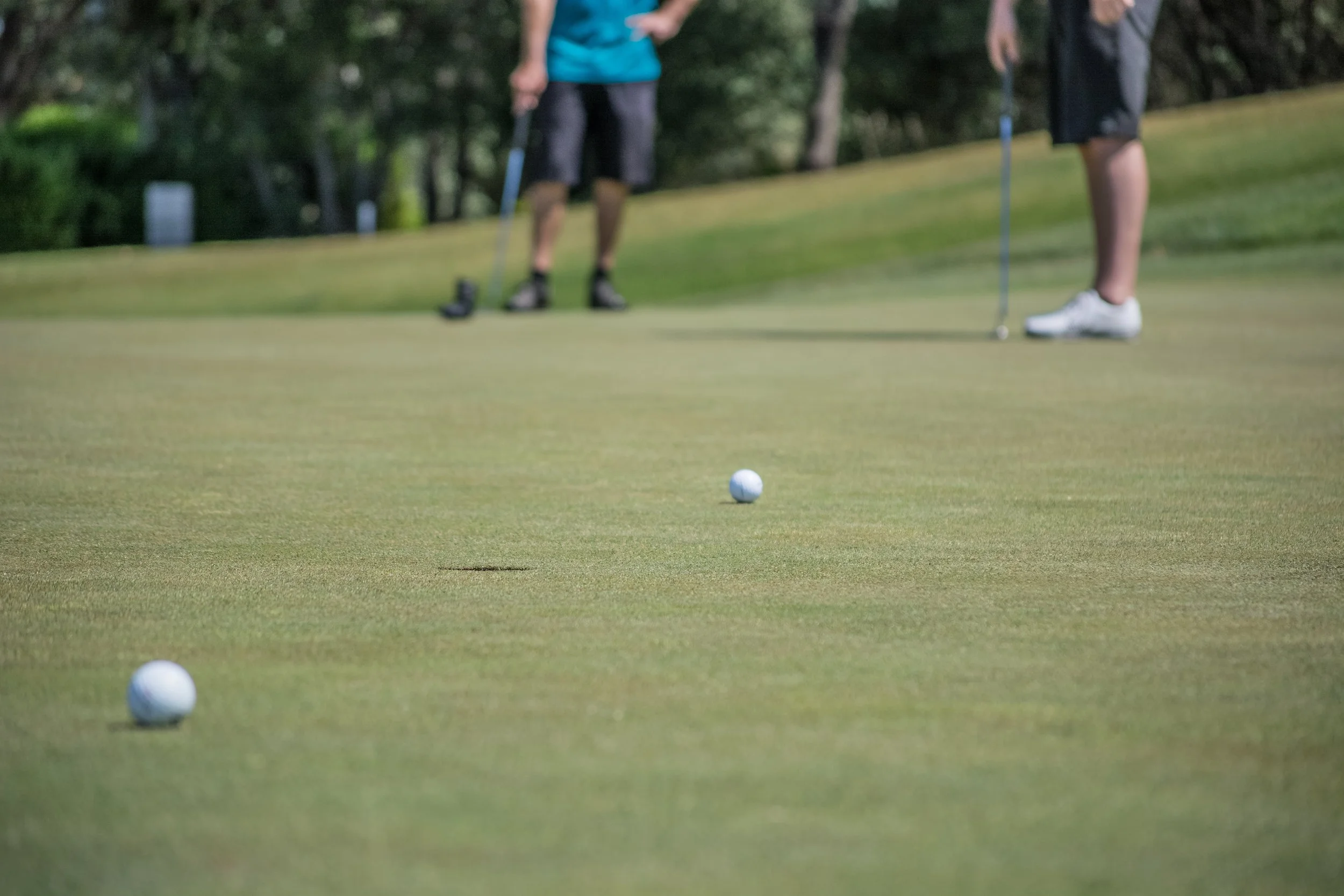 Golf course.jpg