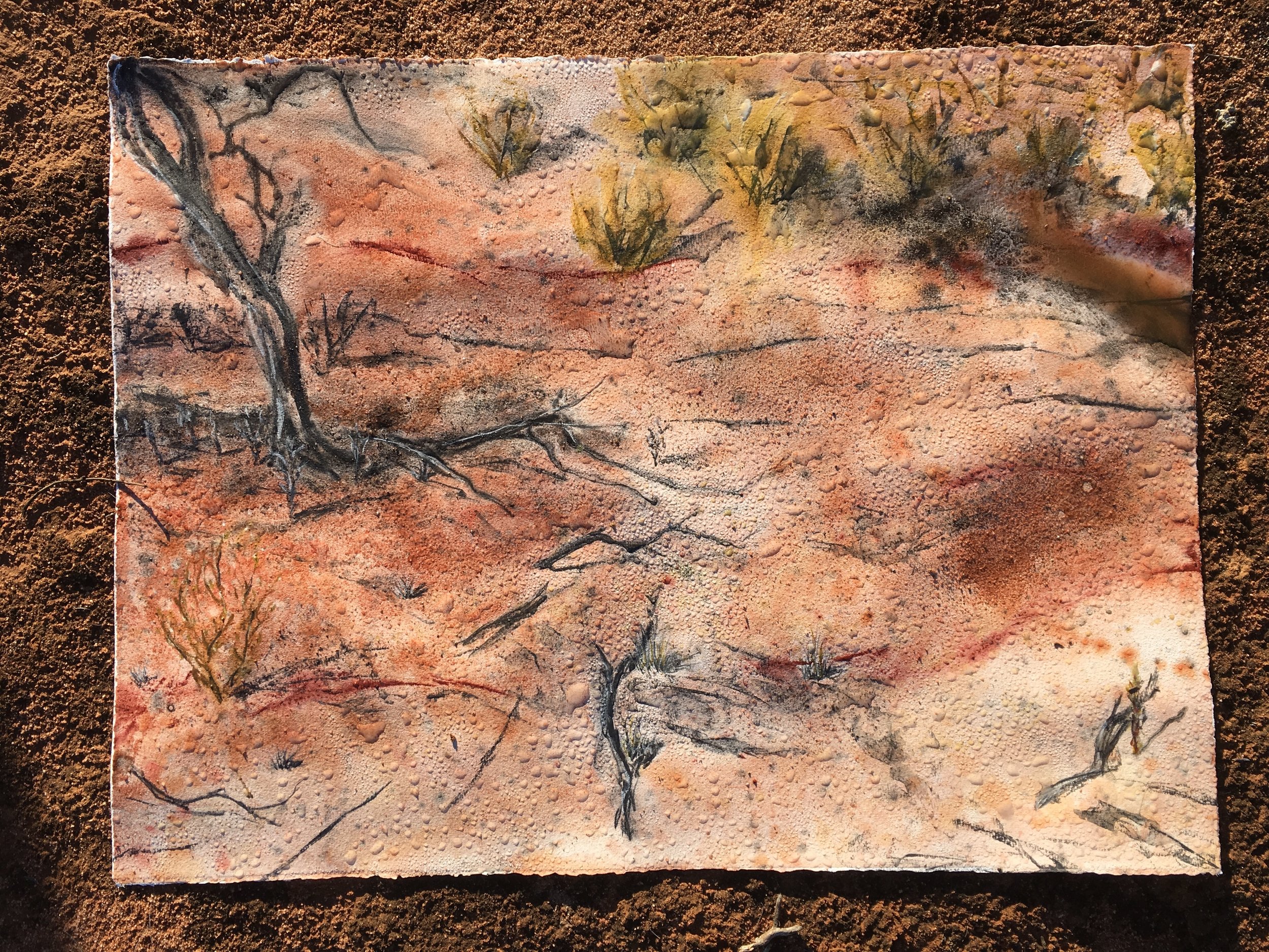 A painting/drawing with morning dew on it, left out over night because it wasn’t dry.