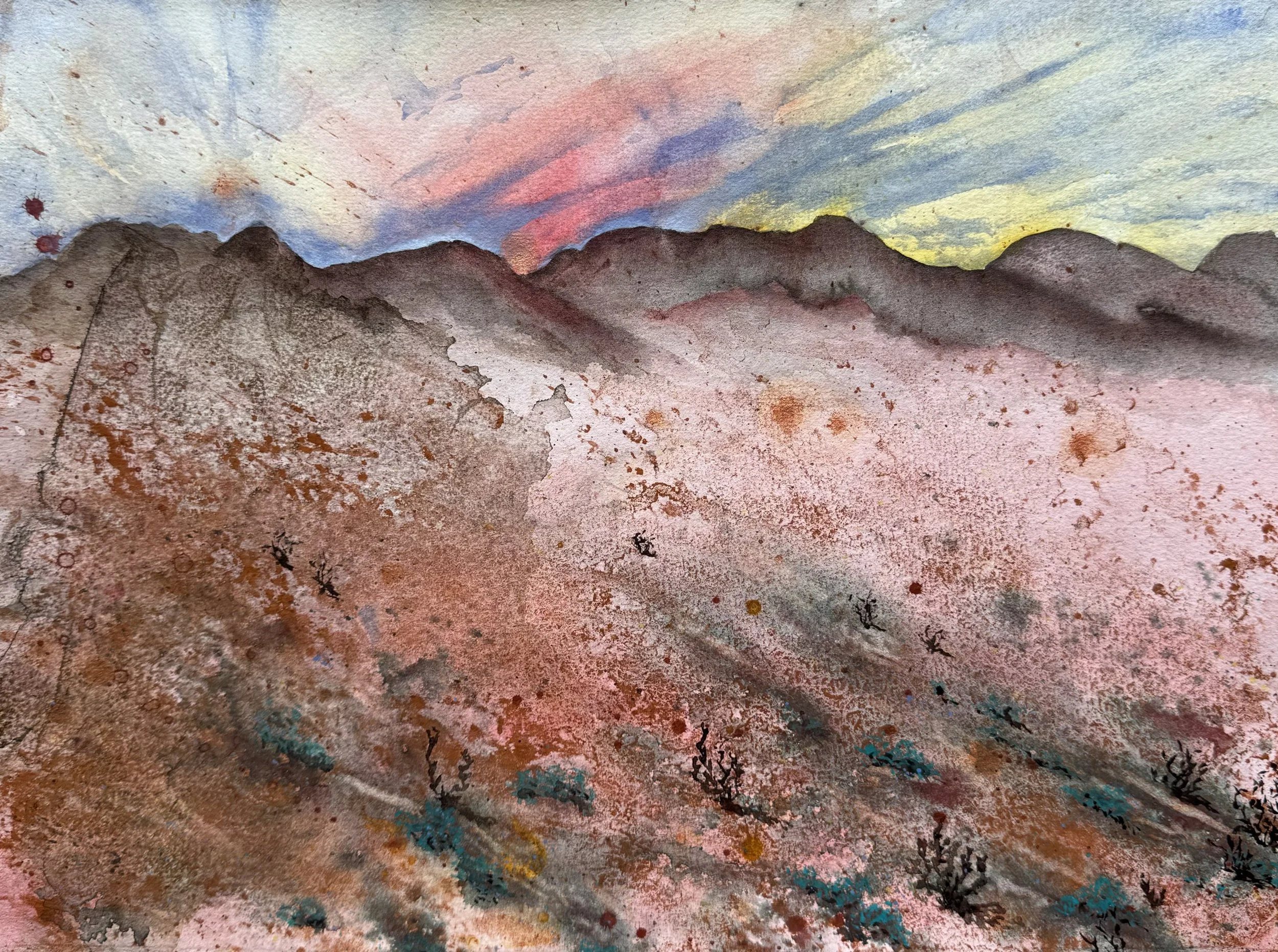 Witchelina sunset, 2024