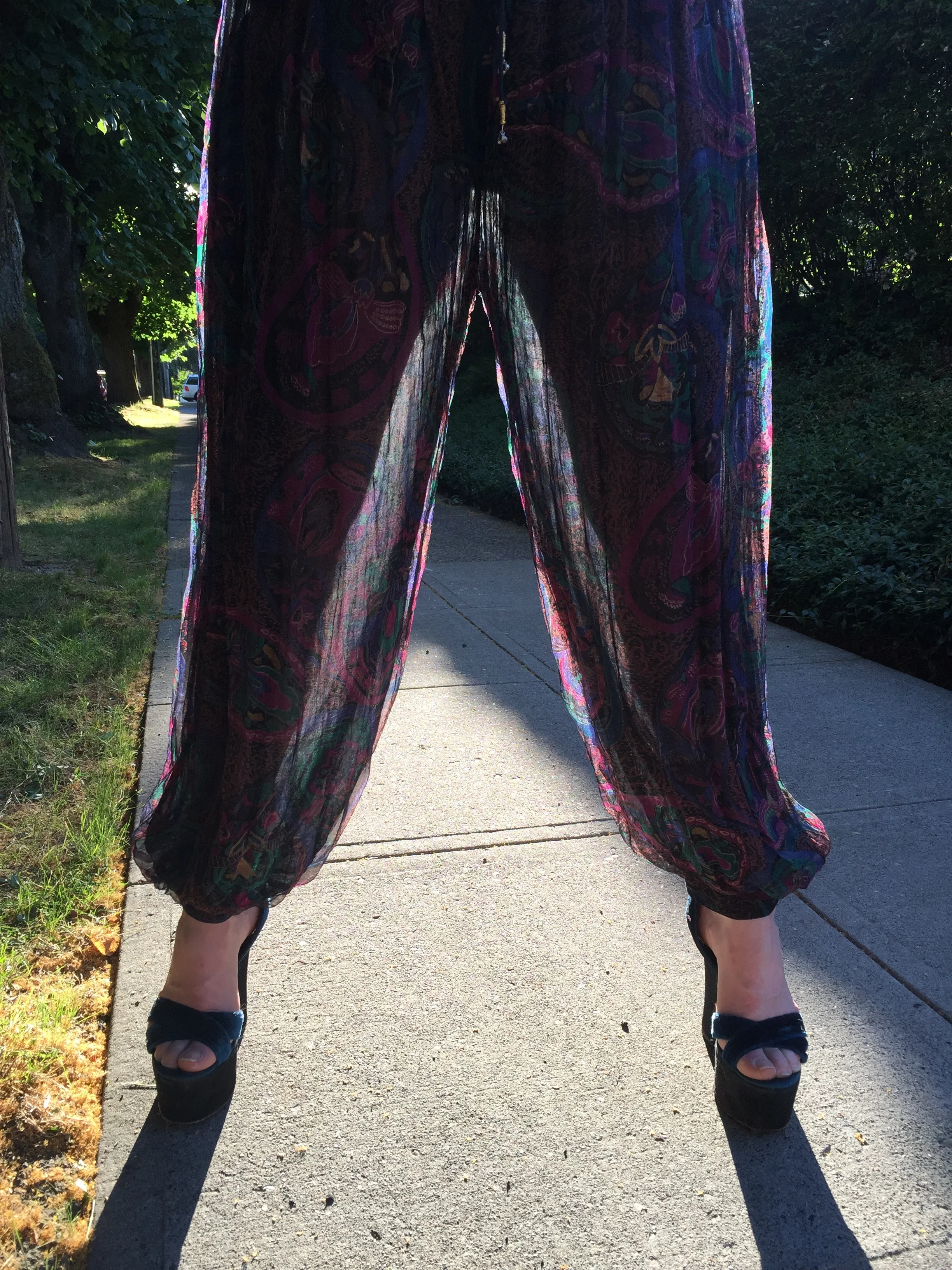 Sheer Purple Paisley Harem Pants (Large)