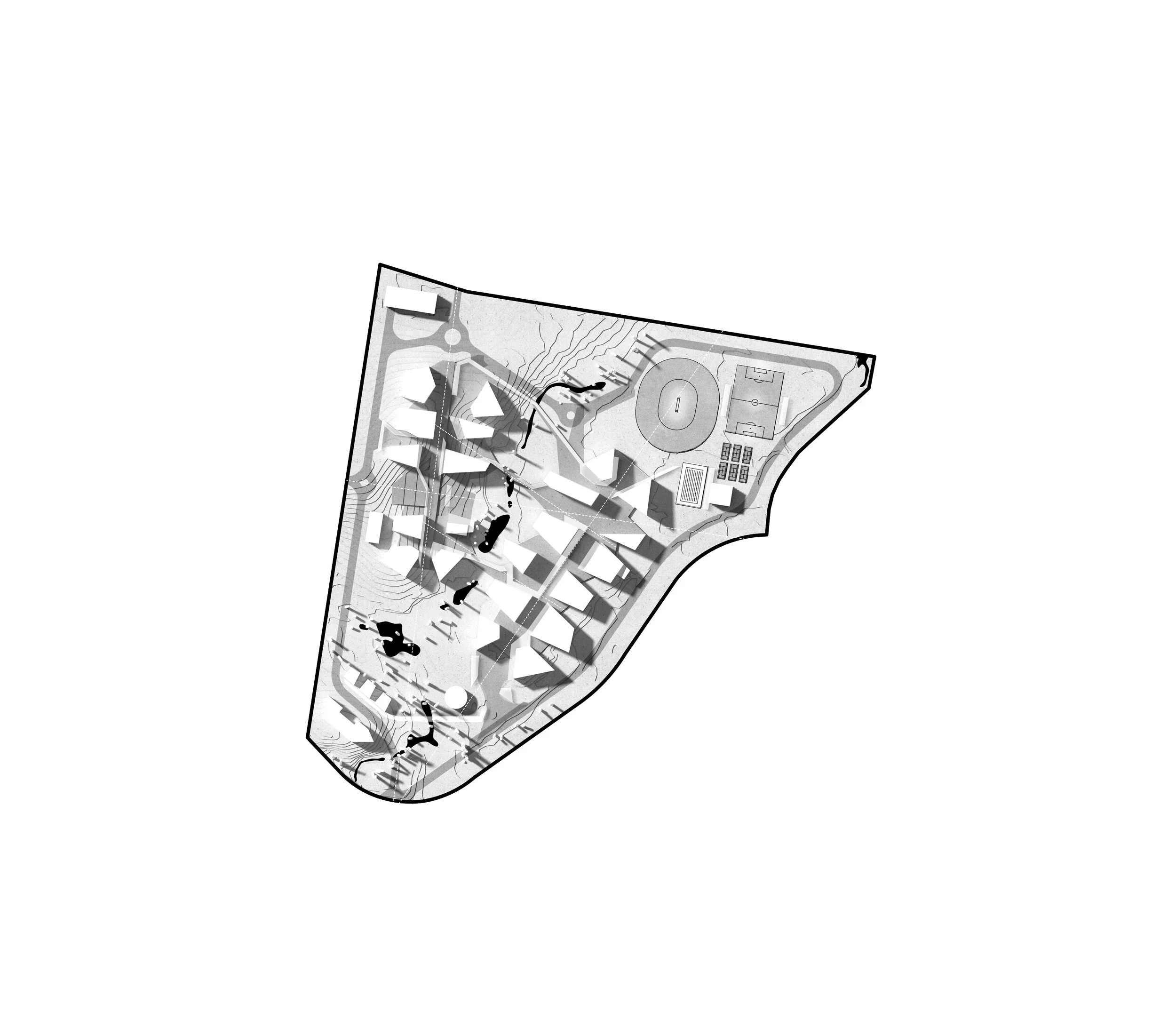 SITE - ii geyscale ii.jpg