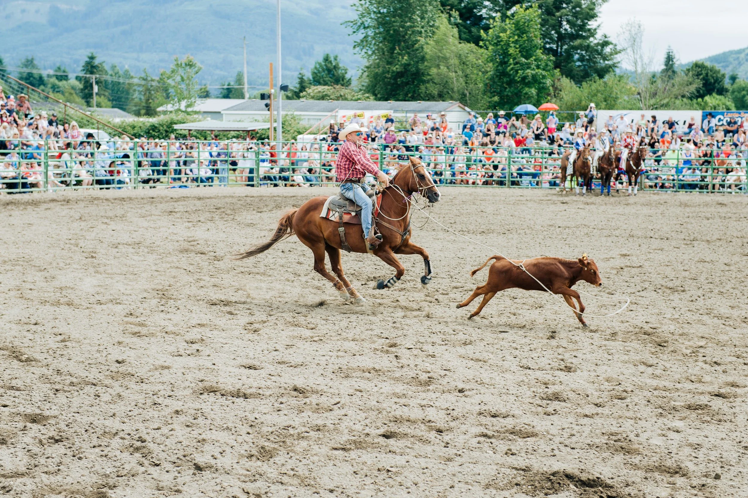 LRodeo2018-0447.jpg