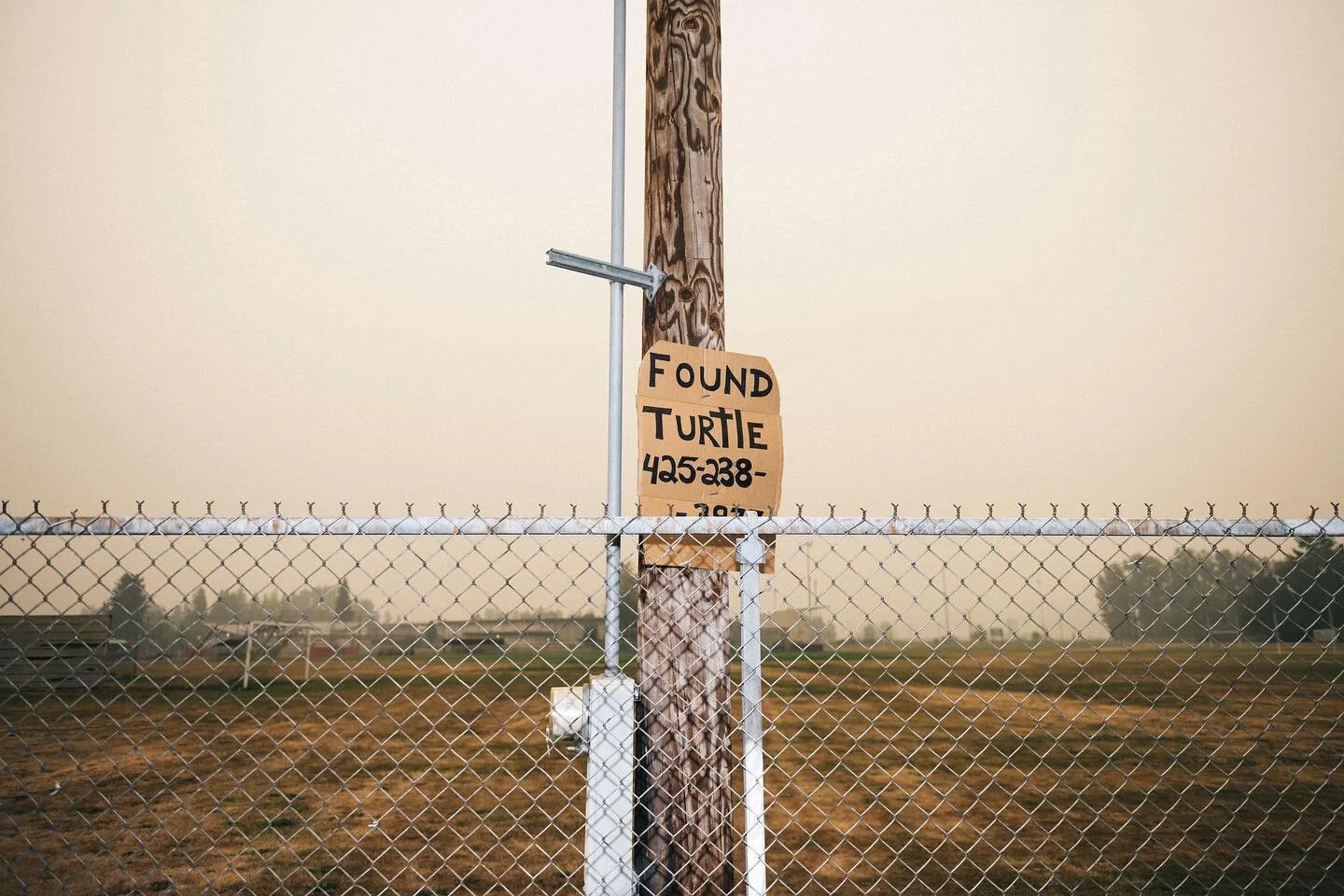 Found Turtle // Walking Distance - #marysvillewa #walkingdistance #fire2020 #foundturtle 
.
.
.
.
#vsco #streetphotography #documentaryphotography #streetphotographer #lensculture #lensculturestreets #somewheremagazine #fromwhereistand #lensonstreets