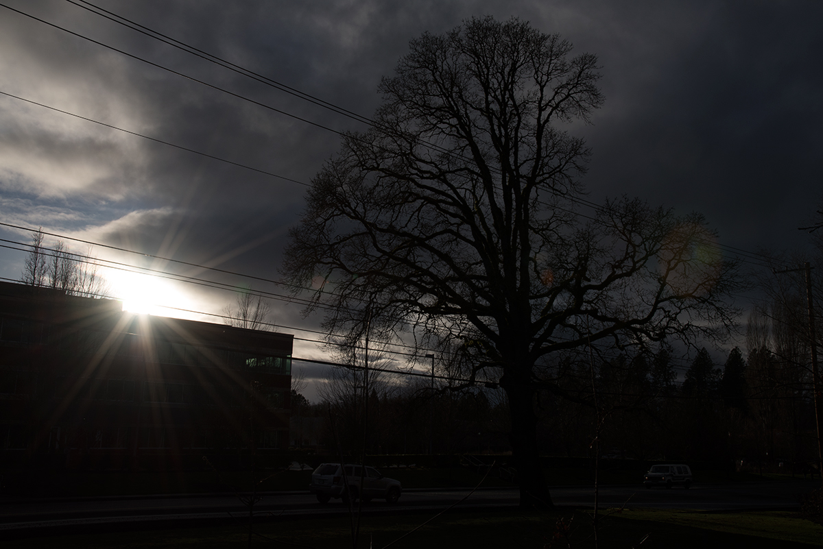 Silouette.jpg