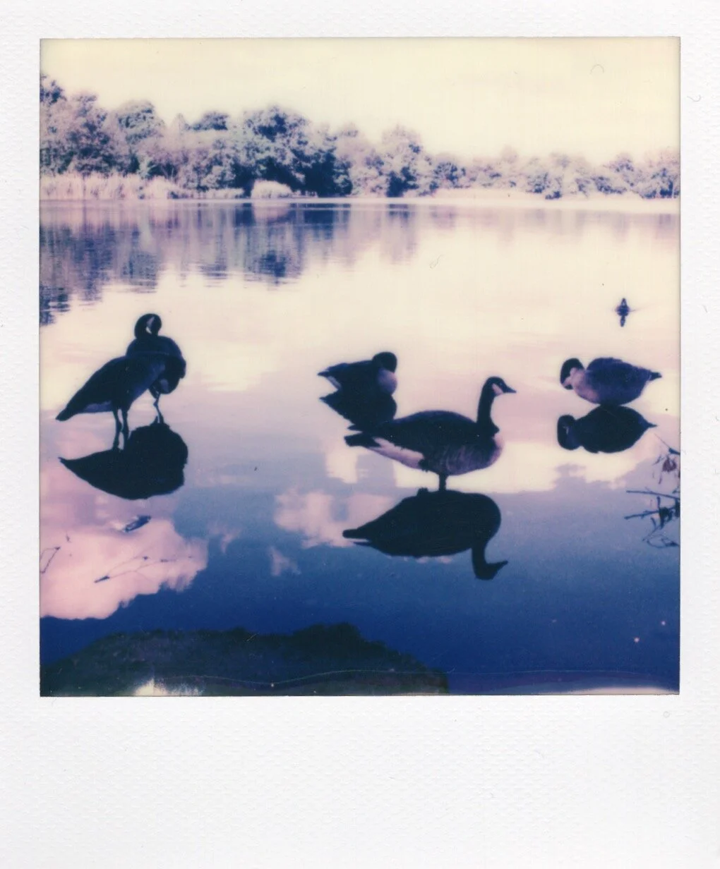 Image 106.jpg