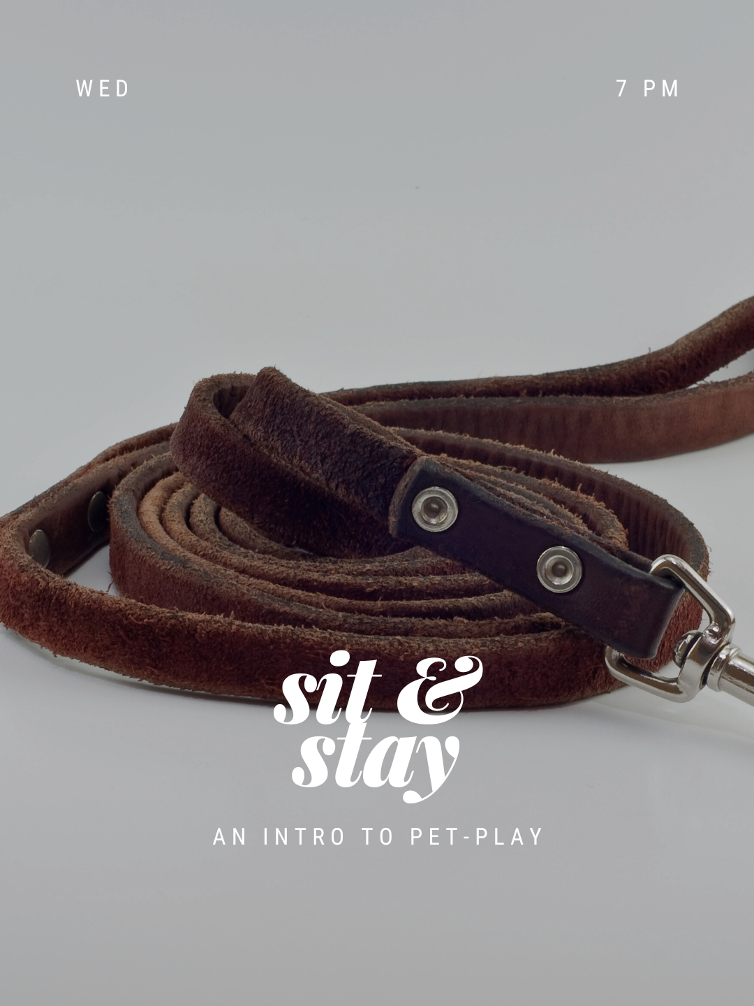 Sit &amp; Stay Pet-Play