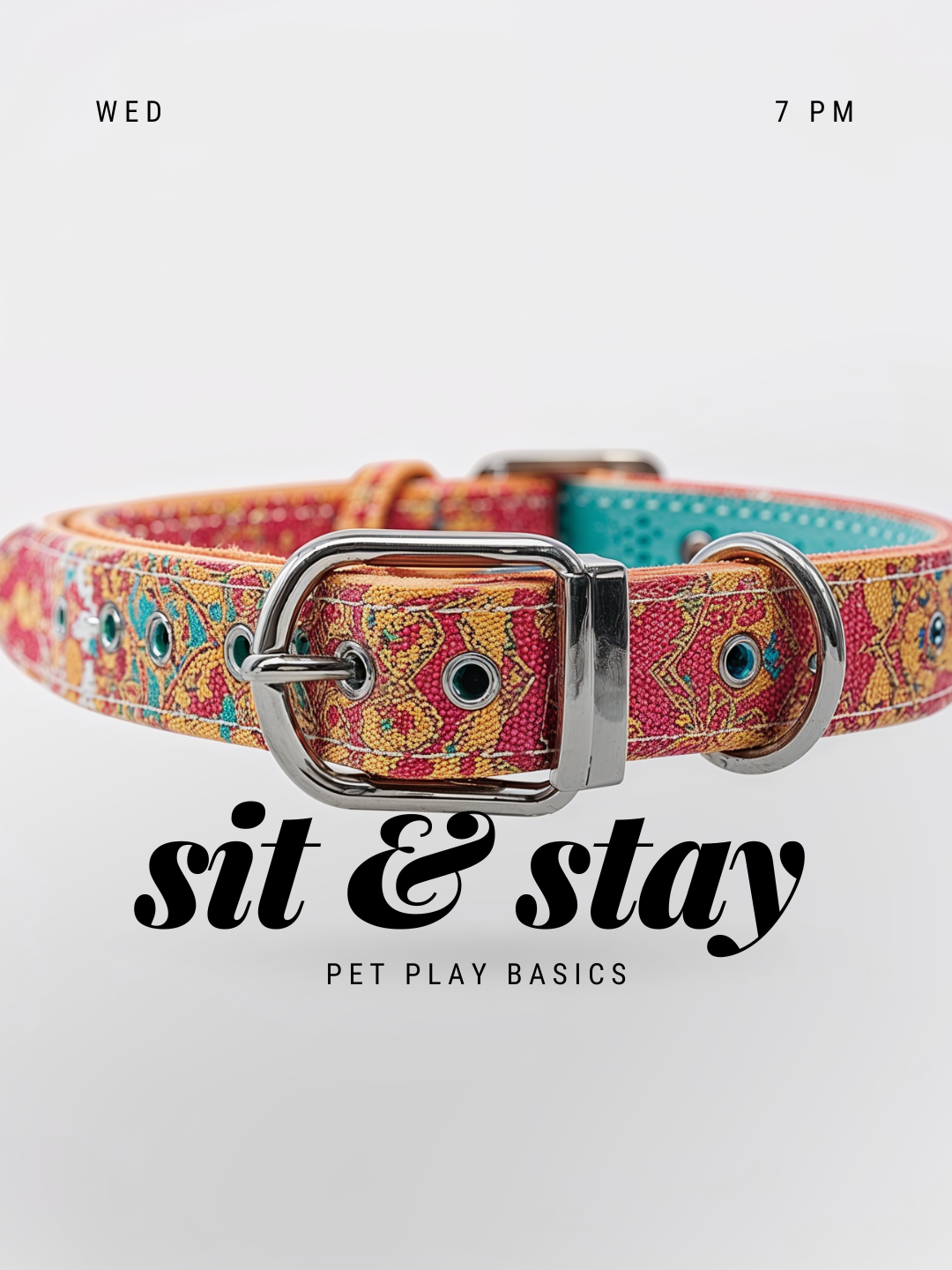 Sit &amp; Stay Pet-Play