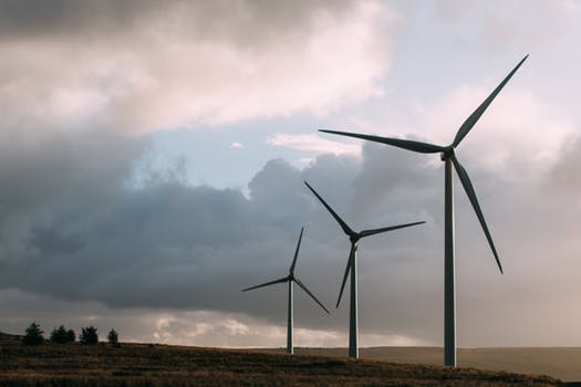 wind farm.jpeg