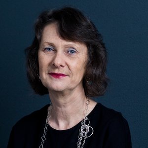 Professor Lee Godden