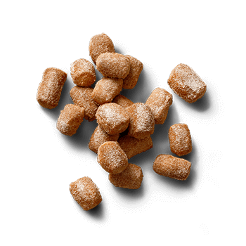 cinnamon-sugar-nuggets-thumb.png