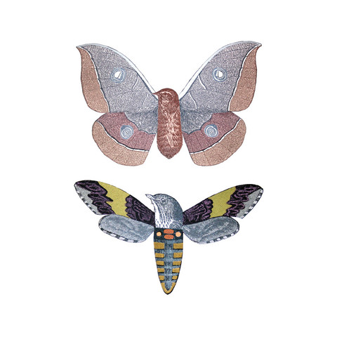 moth-birds-by-penelope-kenny.jpeg