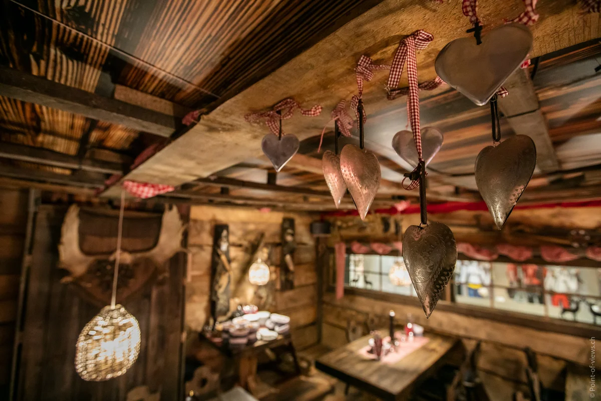 CHALET-9®point-of-views.ch.jpg