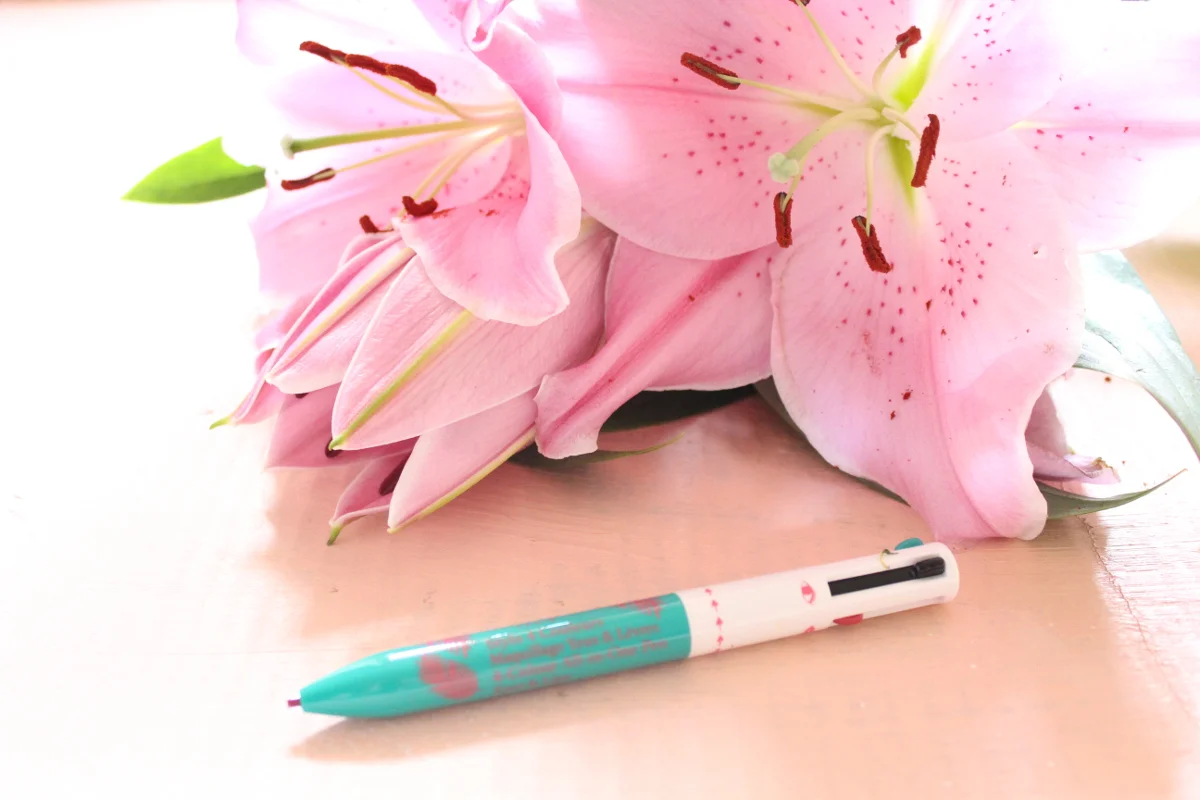 clarins4.jpg