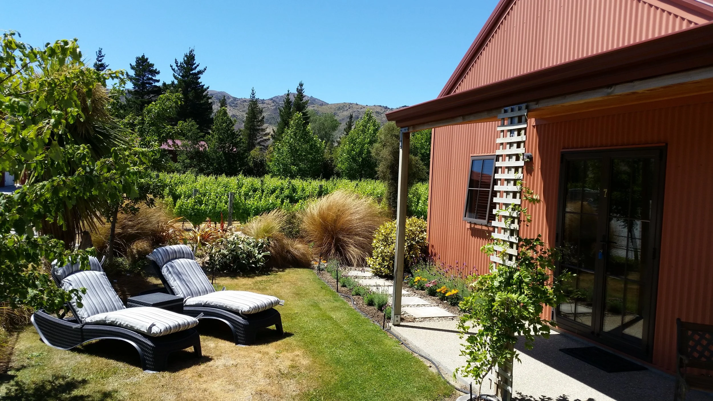 Vineyard room