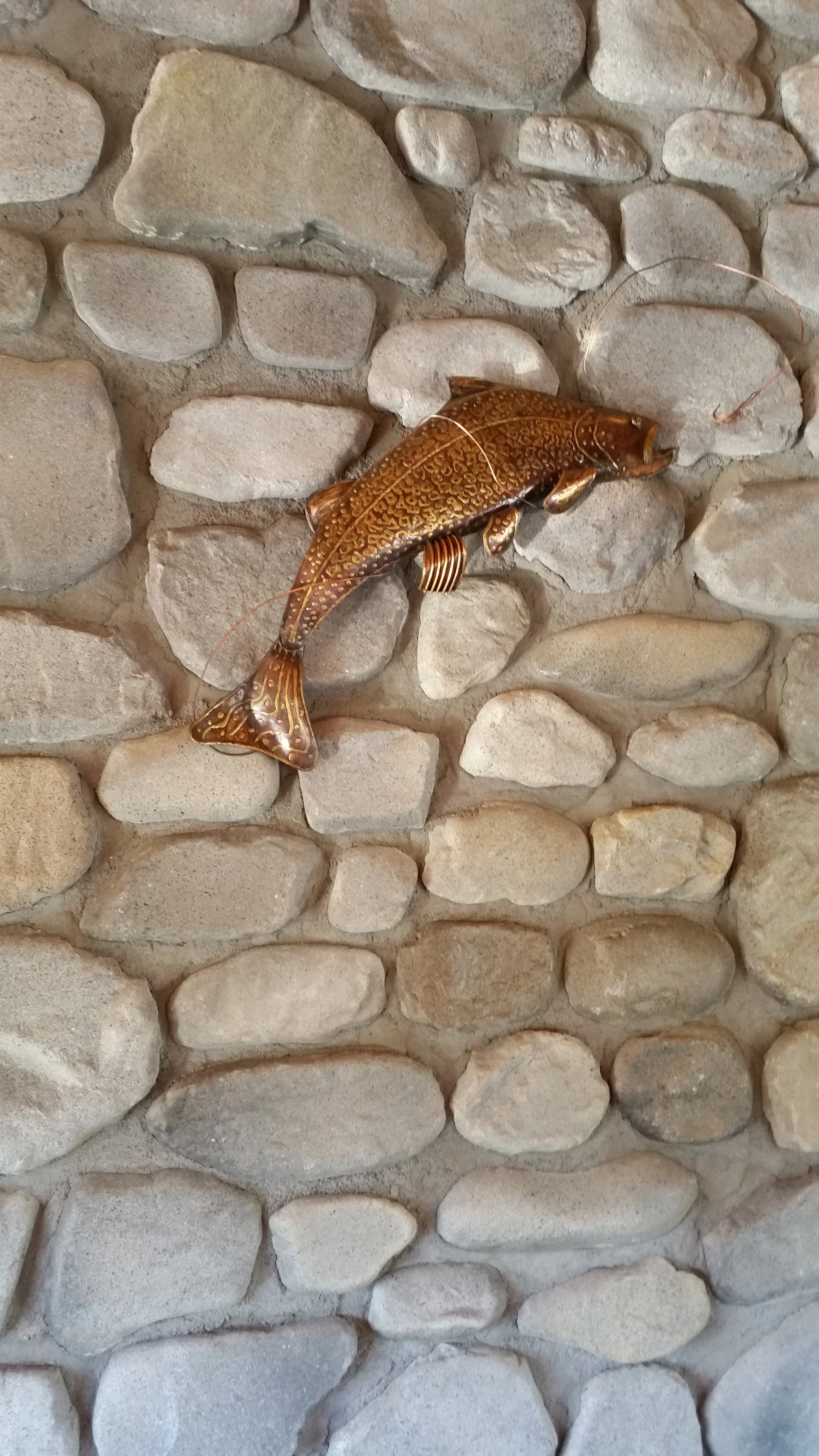 20170214_095006.jpg