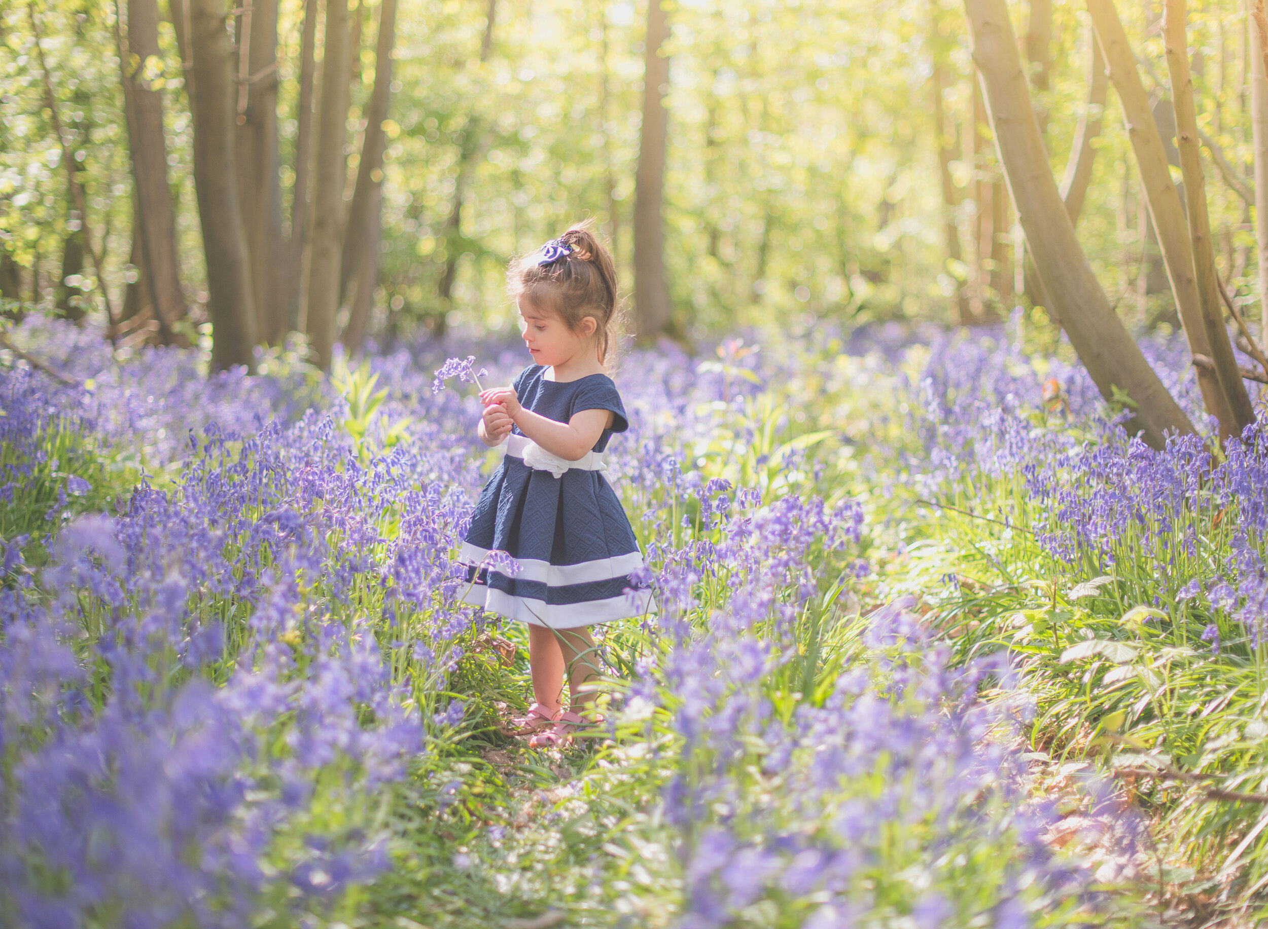 Bluebellgirl.jpg