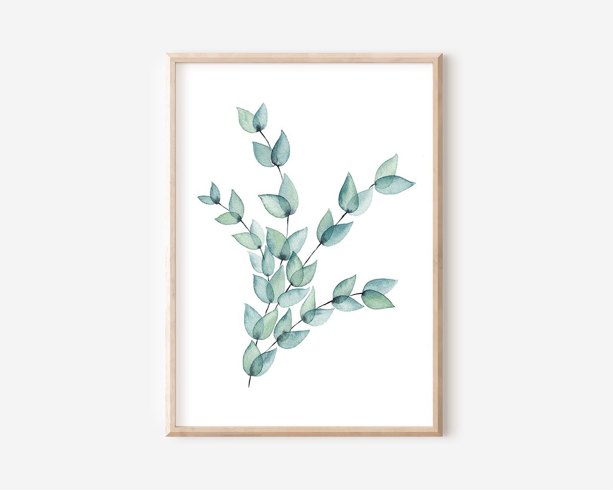 Watercolour eucalyptus print in a frame