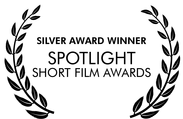 SPOTLIGHT SILVER.png