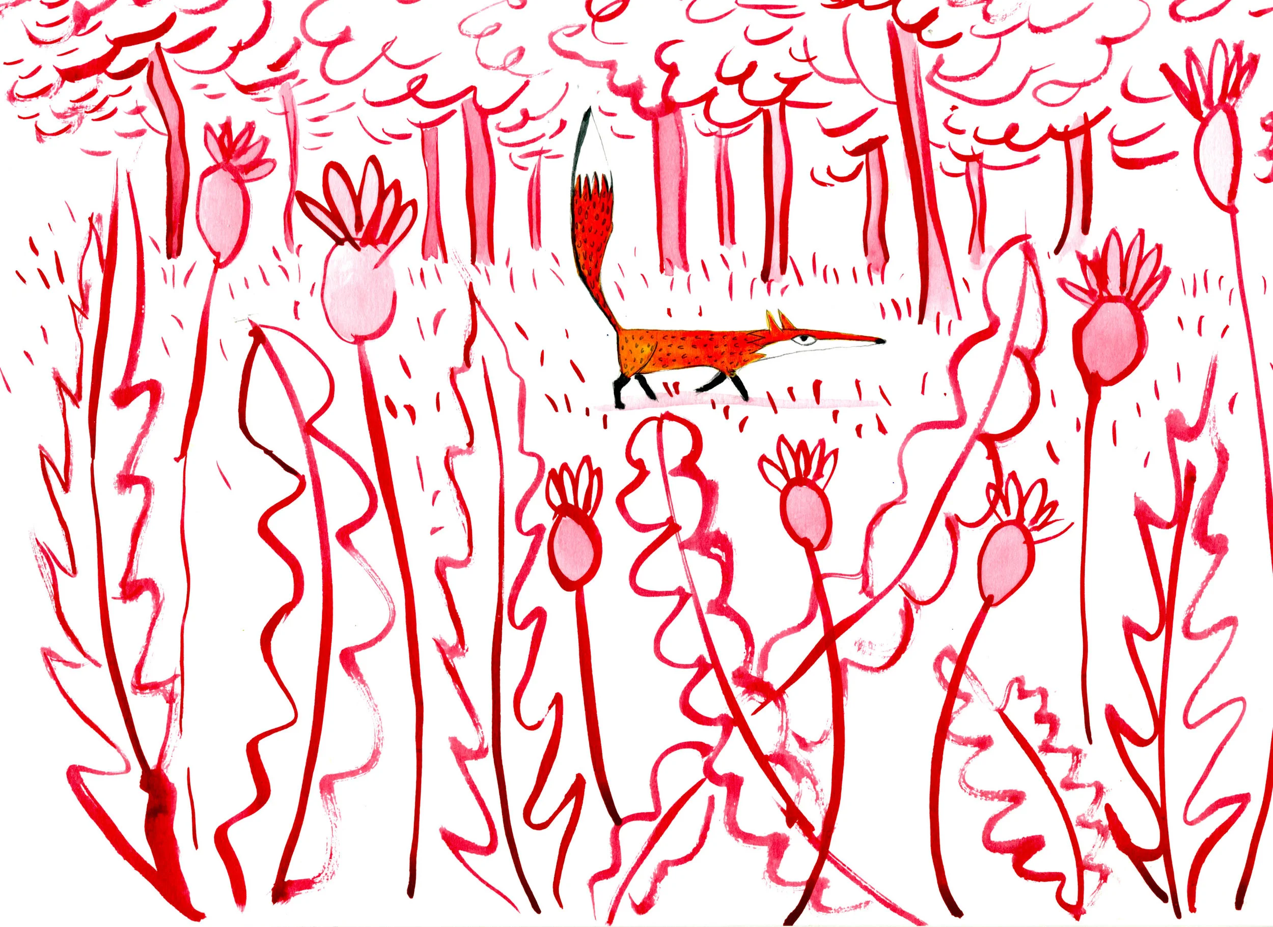 FOX-BLOG-wordpress.jpg