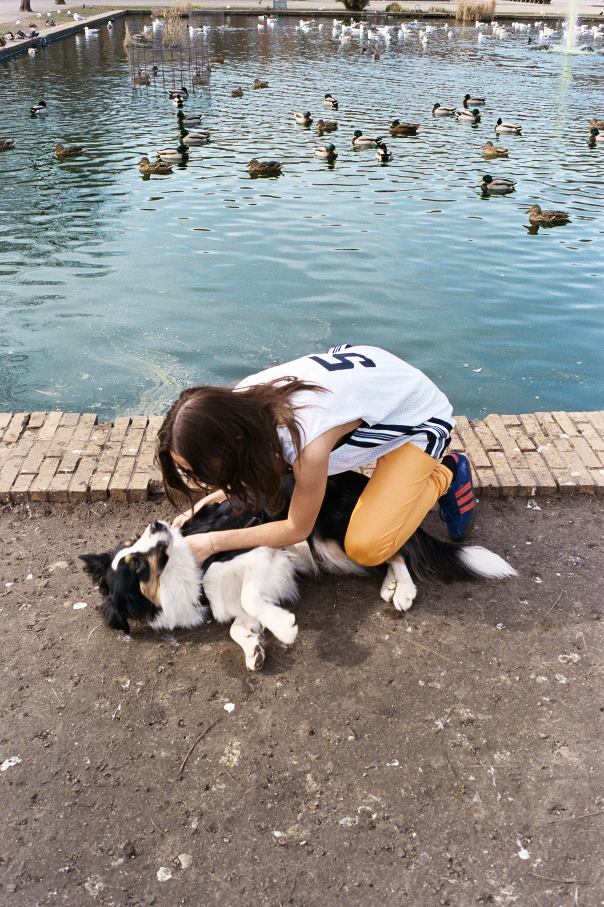 AA019.jpg
