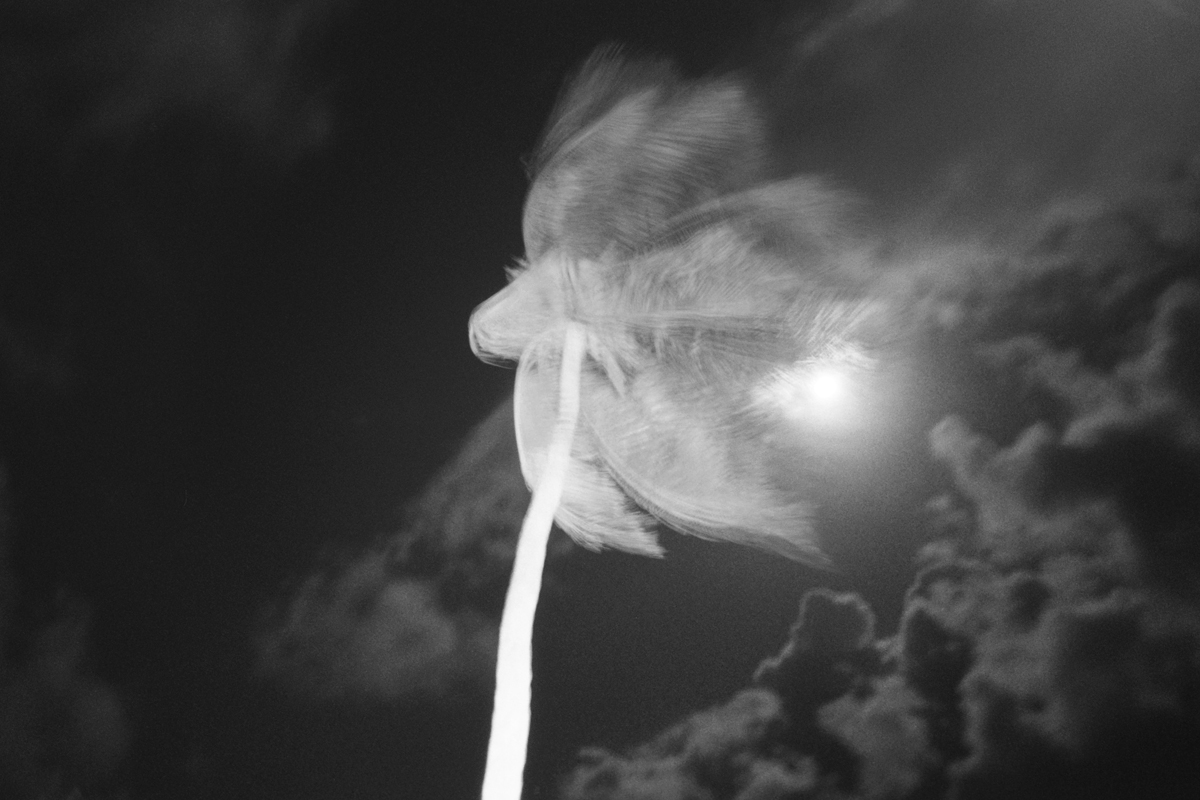 AA007.jpg