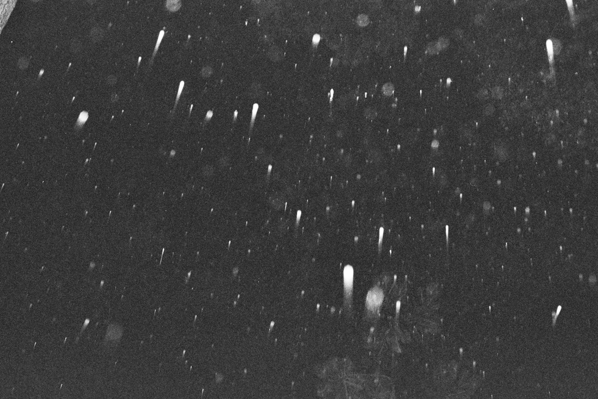 AA027.jpg