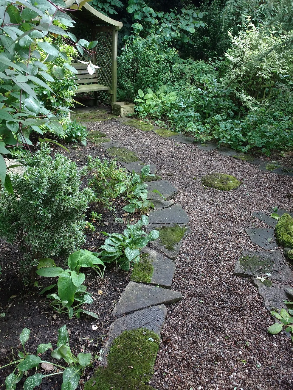 AFTER: a tidy path and borders filled with rescued plants 