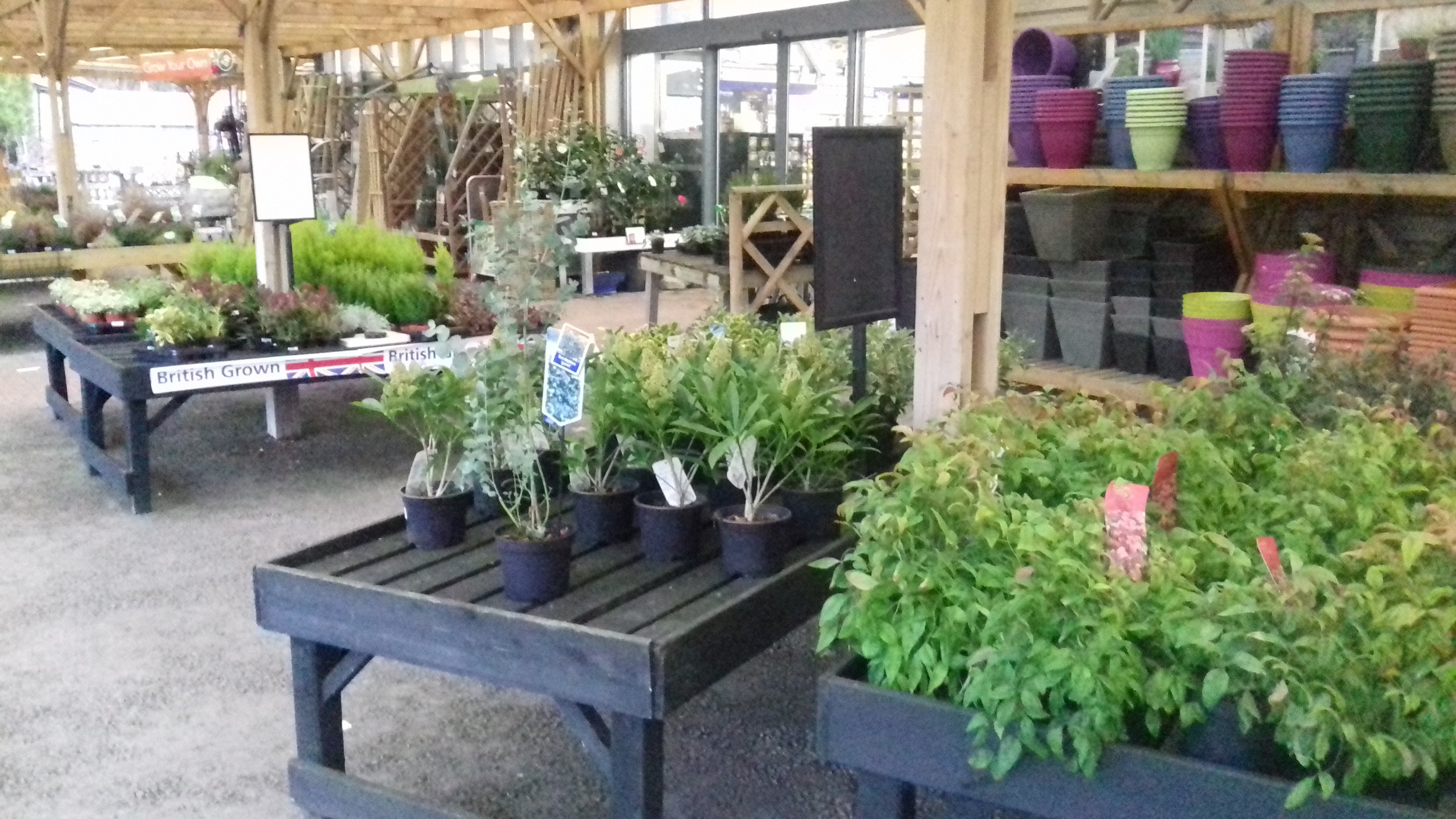 Selecting and sourcing plants.