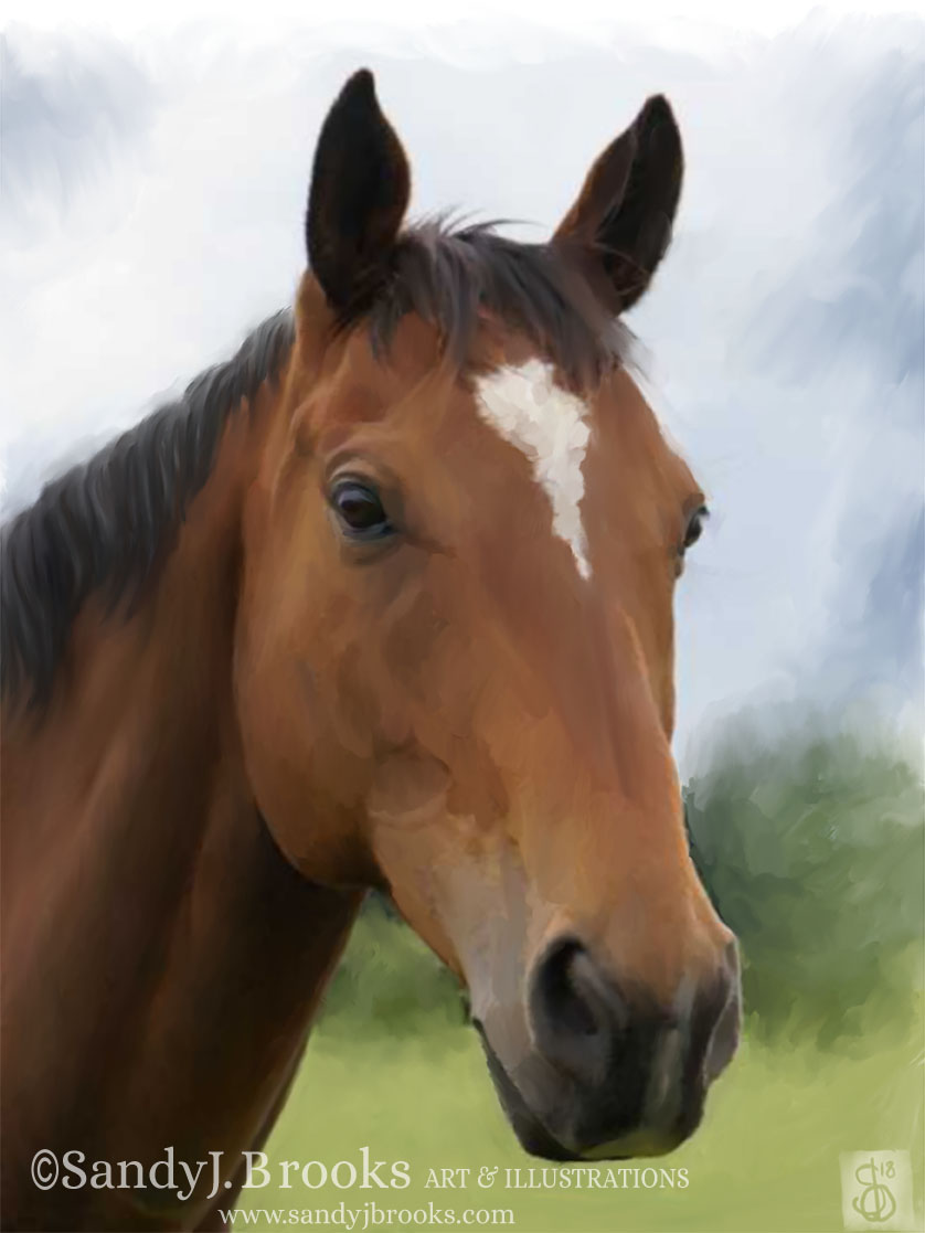 Horse_1.jpg