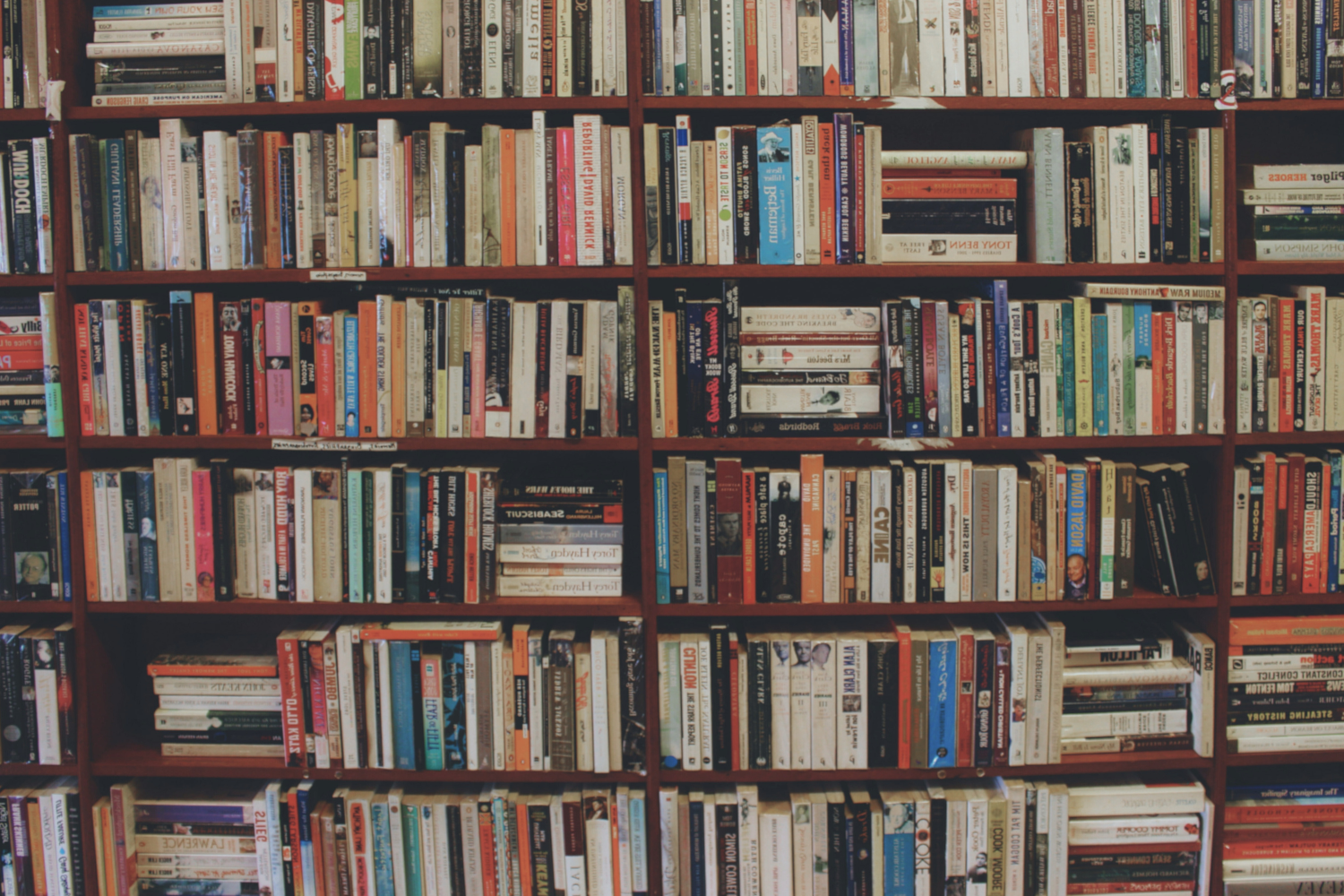 Bookshelf filled with novels and nonfiction, reflecting stories of midlife women, creativity, and a strong sense of place.