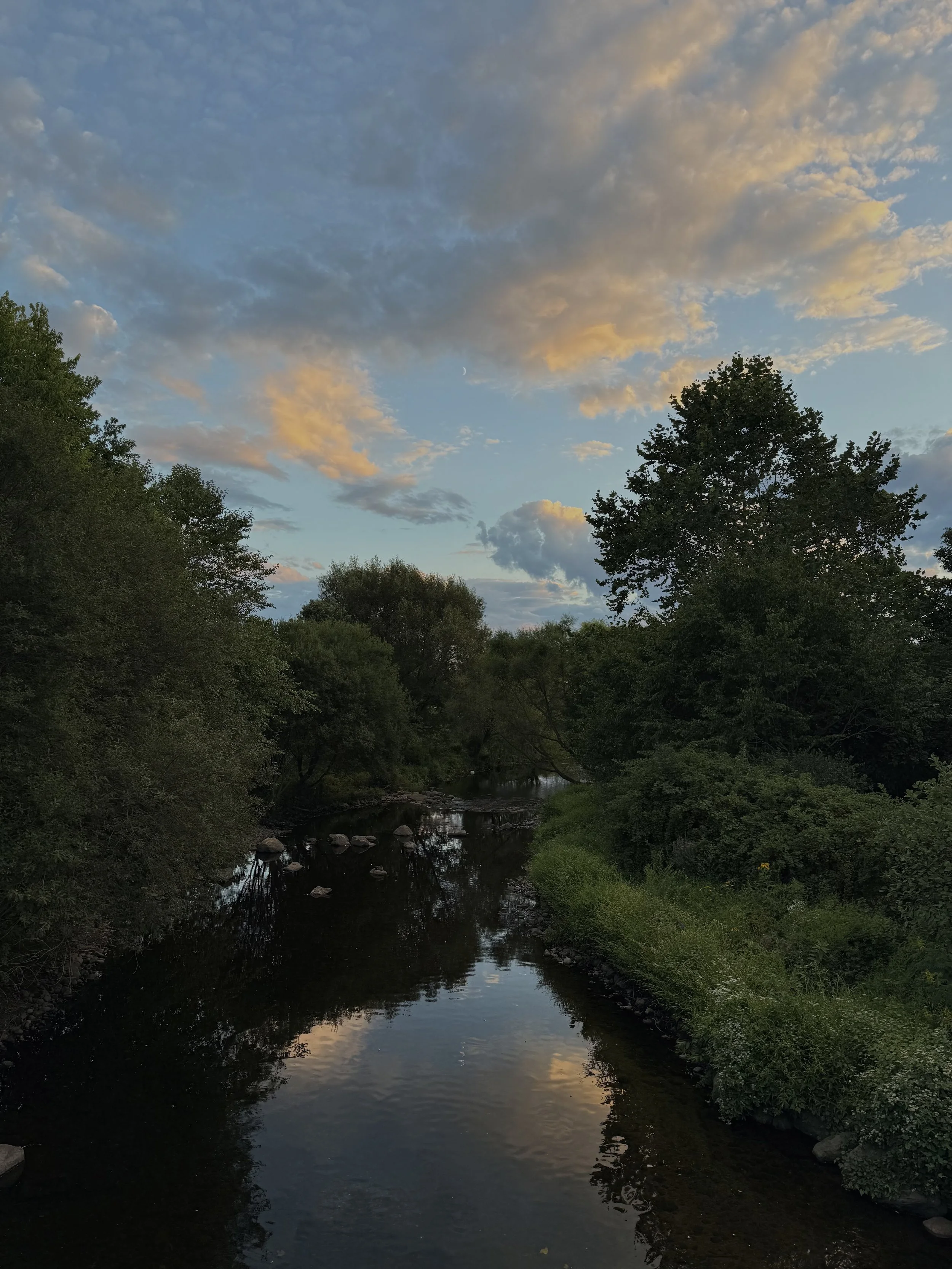 IMG_5602.jpeg