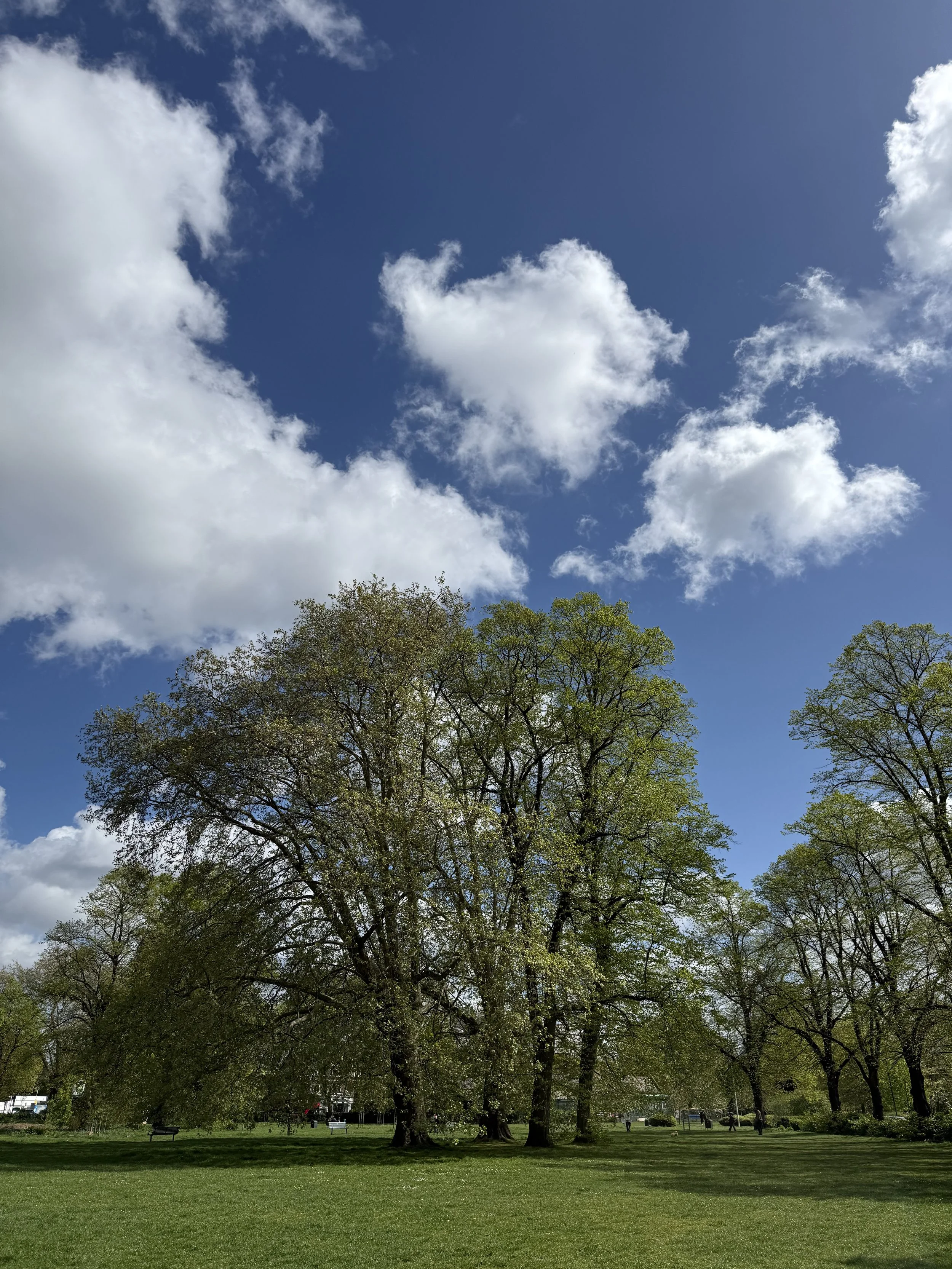       
  
    -  


  
 #block-6a3d25ac3d135b14aa83 {
    
    
    --tweak-text-block-radius: unset;
    
    

--tweak-text-block-background-color: initial;

  }

  #block-6a3d25ac3d135b14aa83 .sqs-html-content {
    
    --tweak-text-block-padding