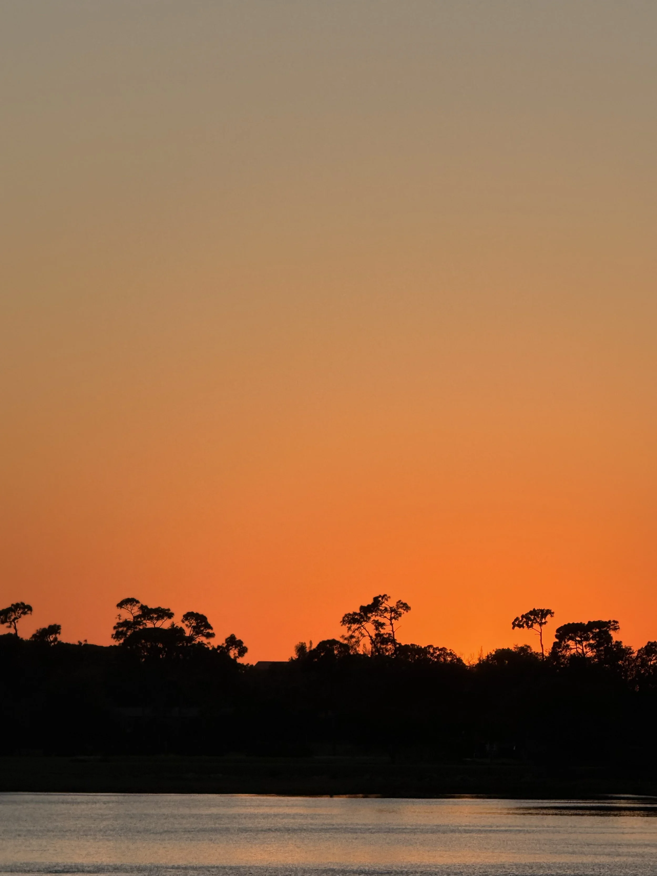       
  
    -  


  
 #block-b496975179fc5cb07ae6 {
    
    
    --tweak-text-block-radius: unset;
    
    

--tweak-text-block-background-color: initial;

  }

  #block-b496975179fc5cb07ae6 .sqs-html-content {
    
    --tweak-text-block-padding