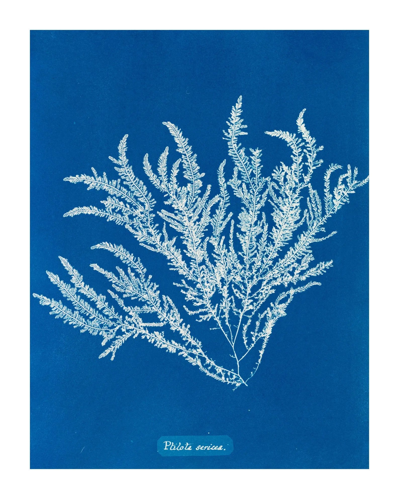       
  
    -  


  
 #block-bb659dece75bb11e2cf9 {
    
    
    
    
  }

  #block-bb659dece75bb11e2cf9 .sqs-html-content {
    
    }
    
  #block-bb659dece75bb11e2cf9 {
    mix-blend-mode: var(--tweak-text-block-blend
  );
  }
  
  
  
  
  
