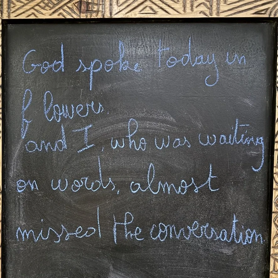       
  
    -  


  
 #block-8256cd6067ee776373f0 {
    
    
    
    
  }

  #block-8256cd6067ee776373f0 .sqs-html-content {
    
    }
    
  #block-8256cd6067ee776373f0 {
    mix-blend-mode: var(--tweak-text-block-blend
  );
  }
  
  
  
  
  
