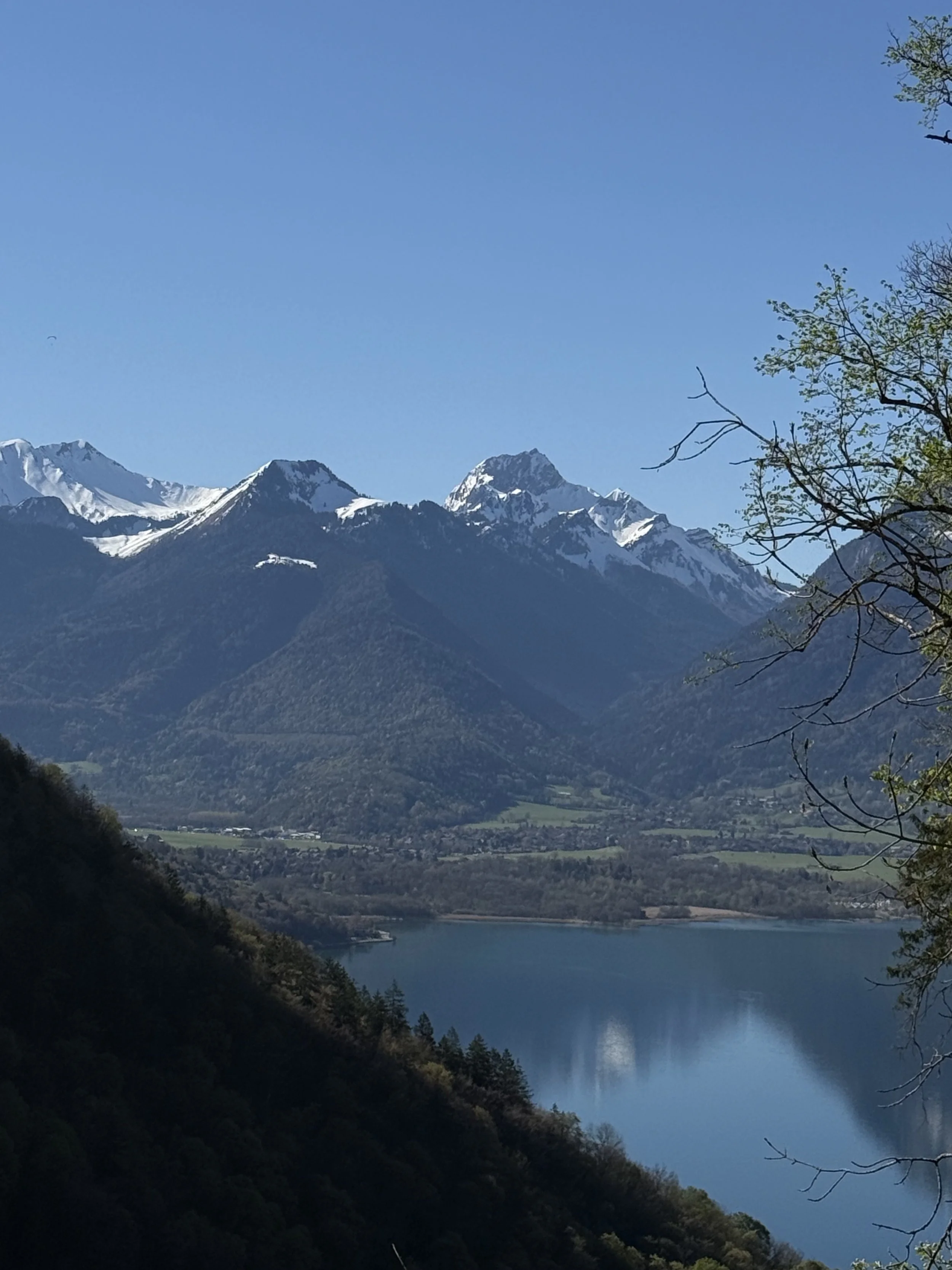       
  
    -  


  
 #block-f4fc247210f60af168ea {
    
    
    
    
  }

  #block-f4fc247210f60af168ea .sqs-html-content {
    
    }
    
  #block-f4fc247210f60af168ea {
    mix-blend-mode: var(--tweak-text-block-blend
  );
  }
  
  
  
  
  
